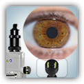 Slit Lamp Questions